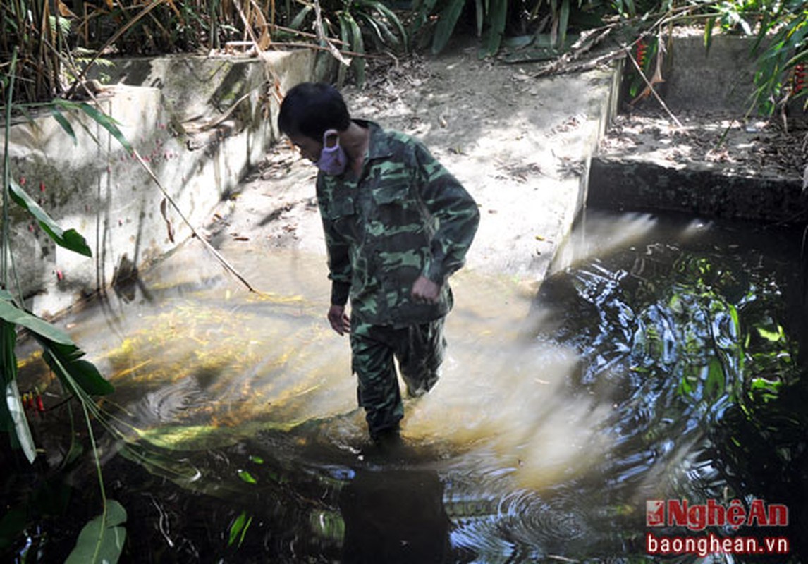 Tan muc ky da hoang da o Vuon quoc gia Pu Mat-Hinh-4